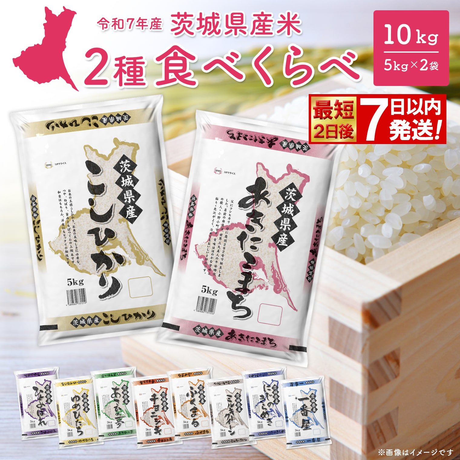 4種食べ比べ 20kg(5kg×4袋) 〈令和8年7月内-8月上旬発送〉 米 小分け