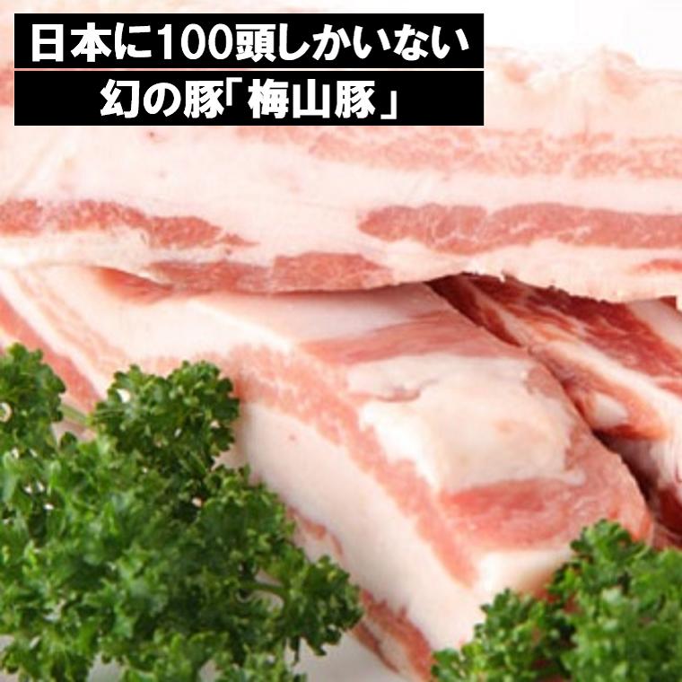 塚原牧場の幻の豚「梅山豚」バラブロック650g