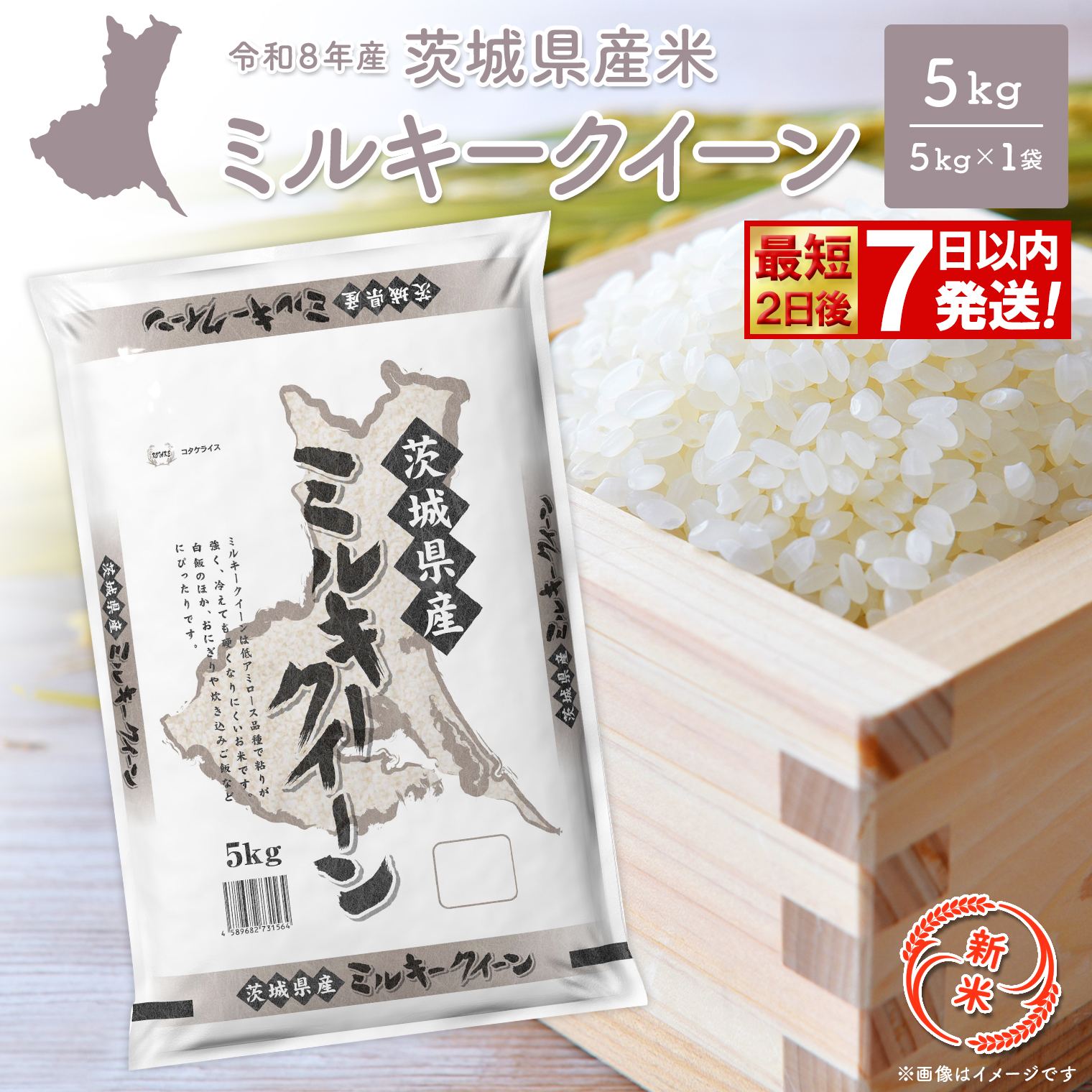 ◎新米/最短2日後発送◎ミルキークイーン 5kg 【令和8年産/白米】