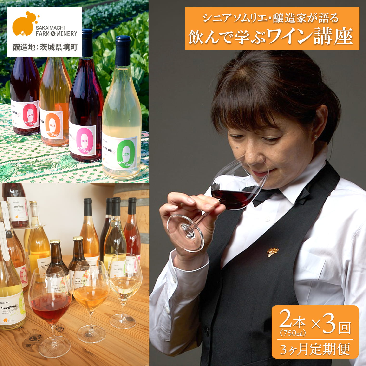 【3ヶ月定期便】飲んで学ぶオンラインワイン講座 ワイン6本付き シニアソムリエ監修 Zoomセミナー ワイン体験 酒 お酒 赤 白 飲み比べ ギフト 甘口 辛口 さかいまちワイナリー K2710