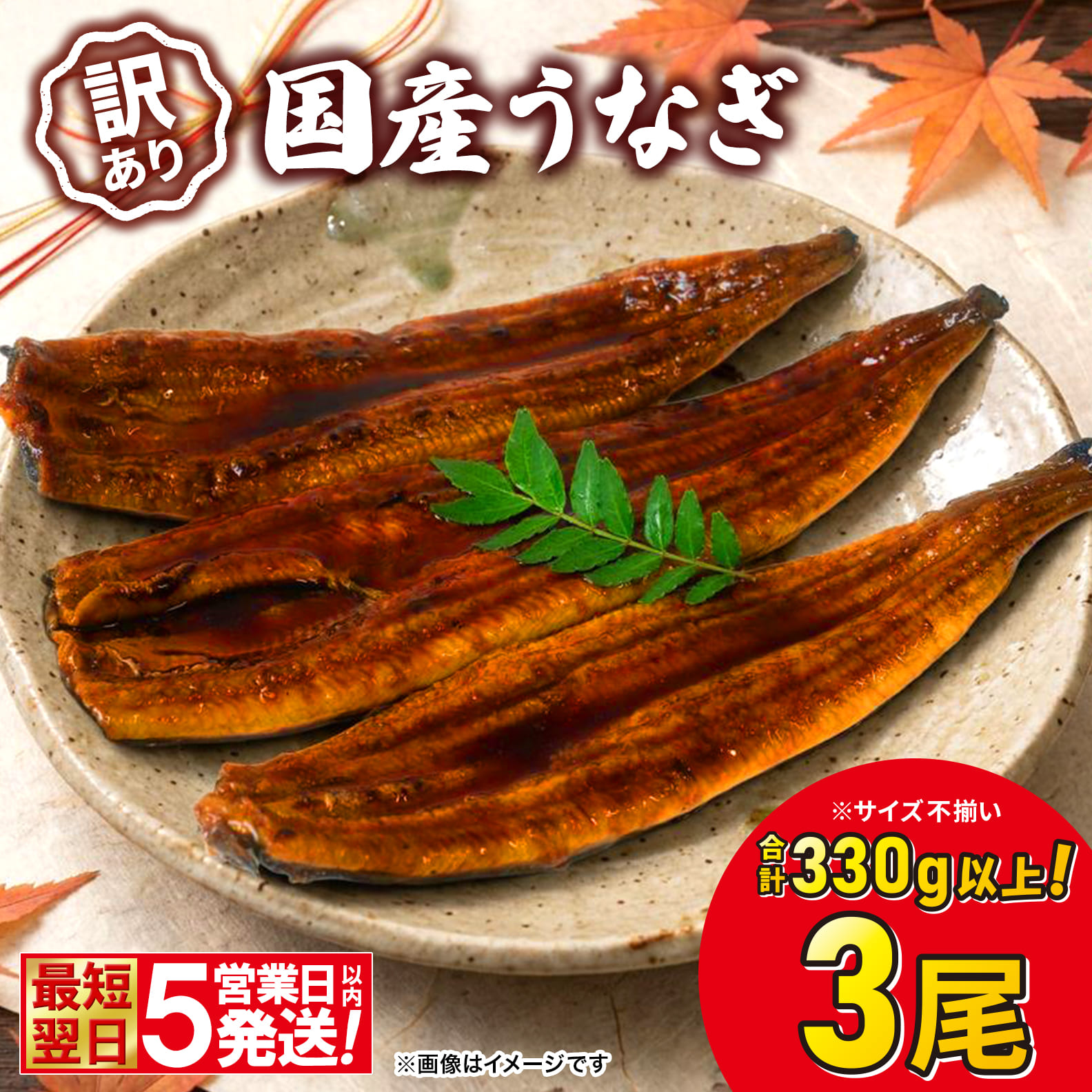 〈最短翌日～5営業日以内発送〉【訳あり】さかい河岸水産 国産 うなぎ 3尾 330g以上！ ※サイズ不揃い うなぎ蒲焼 国産 人気 鰻 うなぎ 3尾 K1804
