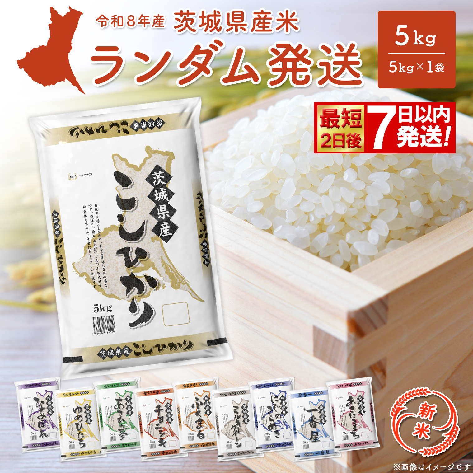 ◎新米/最短2日後発送◎ランダム 5kg 【令和8年産/白米】 