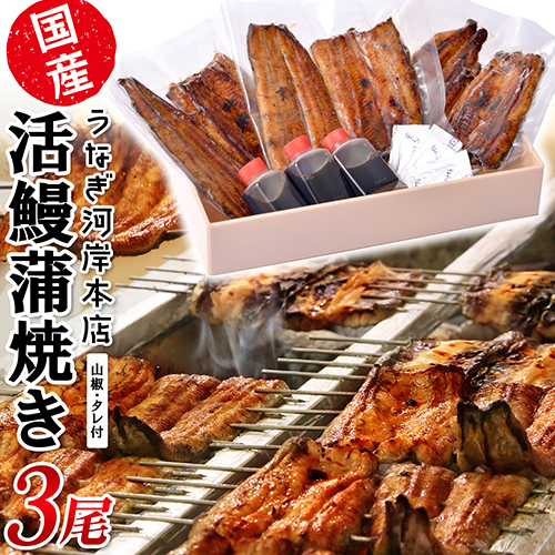 うなぎ河岸本店 【国産】 鰻蒲焼き 3尾 山椒/タレ付