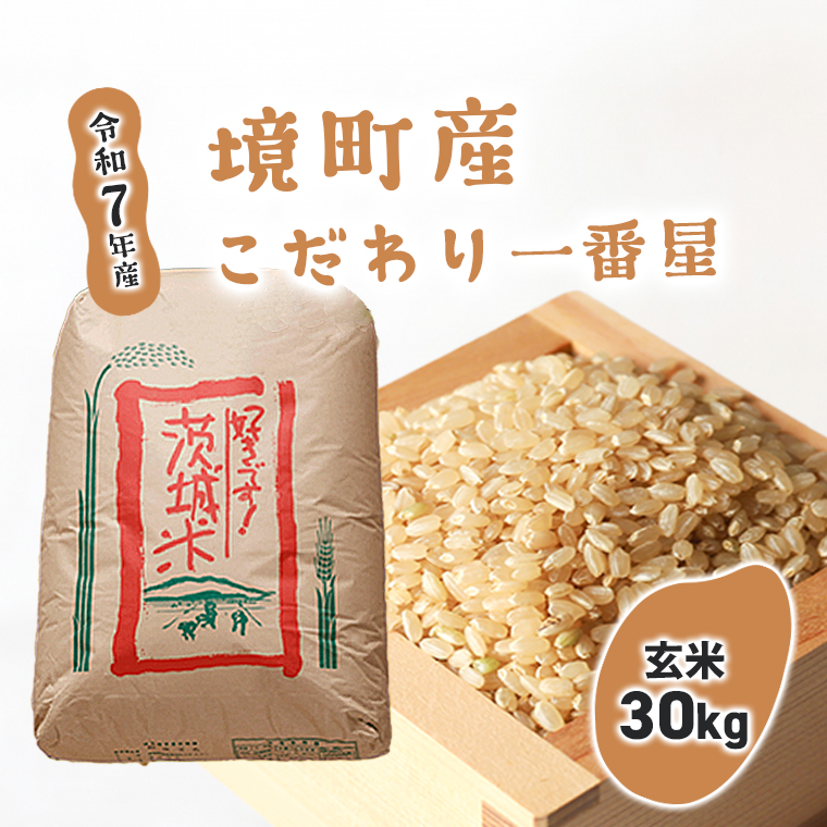 【令和7年産】境町のこだわり玄米「一番星」30kg S252