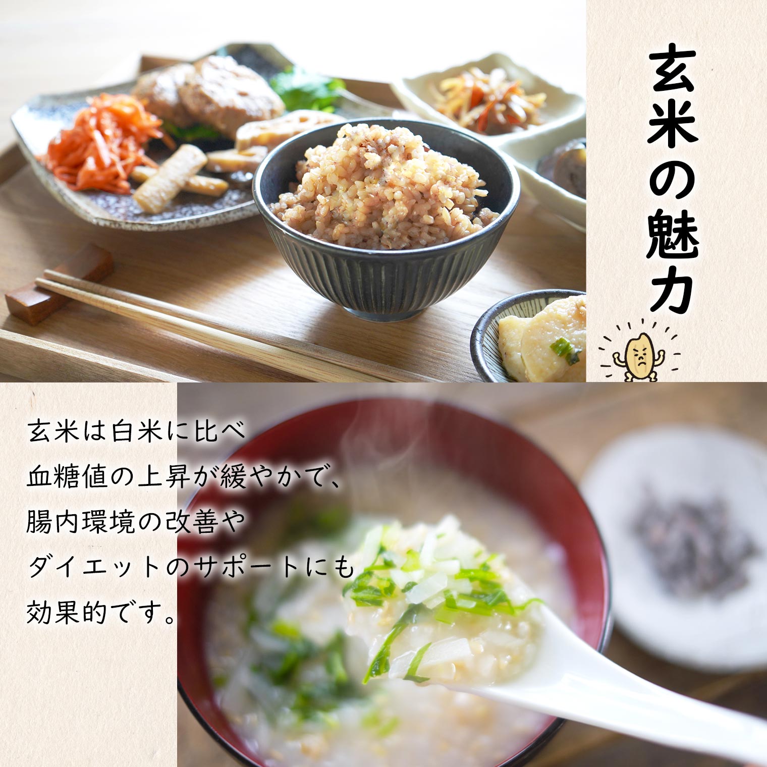 令和7年産】境町こだわり玄米 「コシヒカリ」 30kg 国産 米 茨城県 大