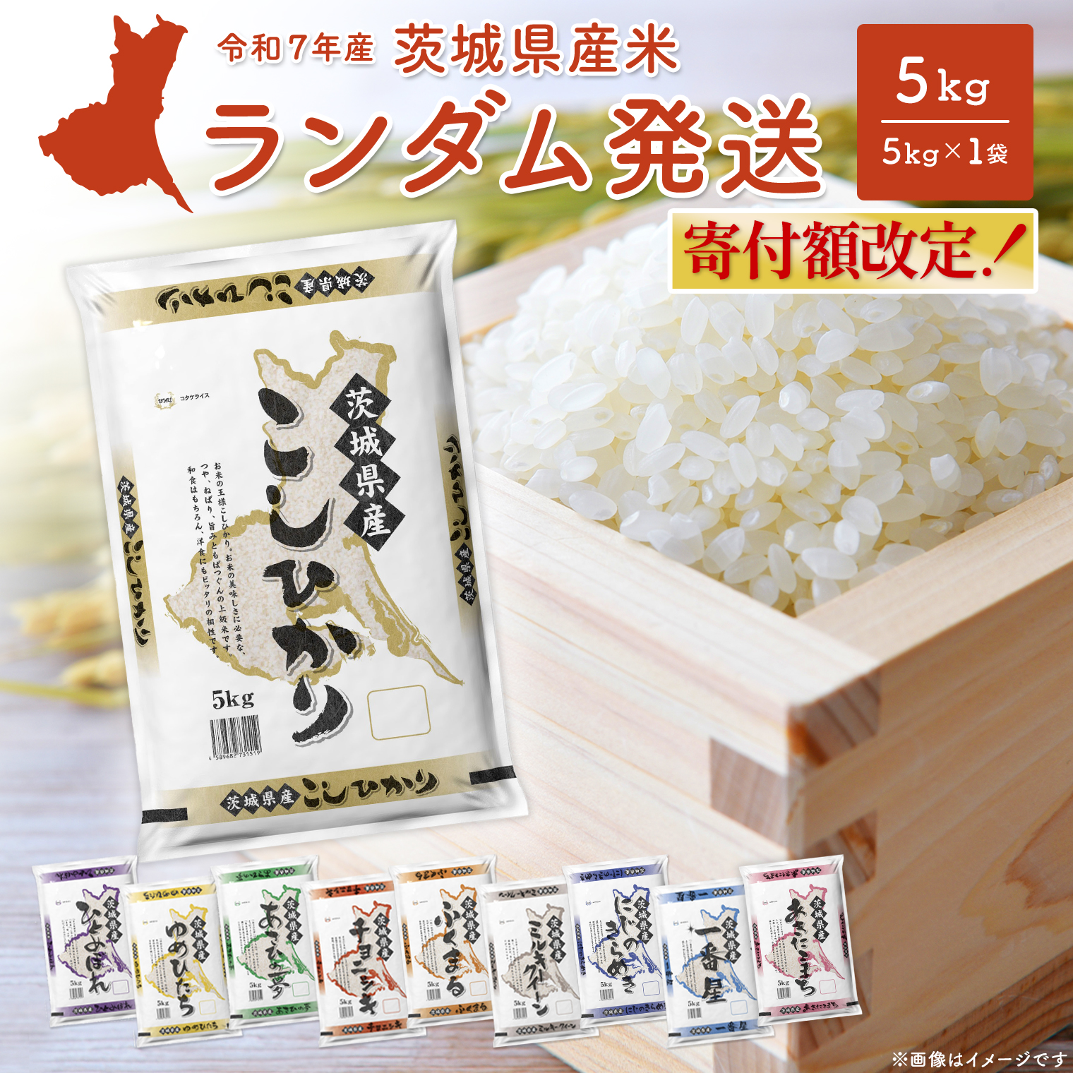 令和7年産/白米】 ＜令和8年1月内発送＞ ※ランダム※ 茨城県産 5kg 米