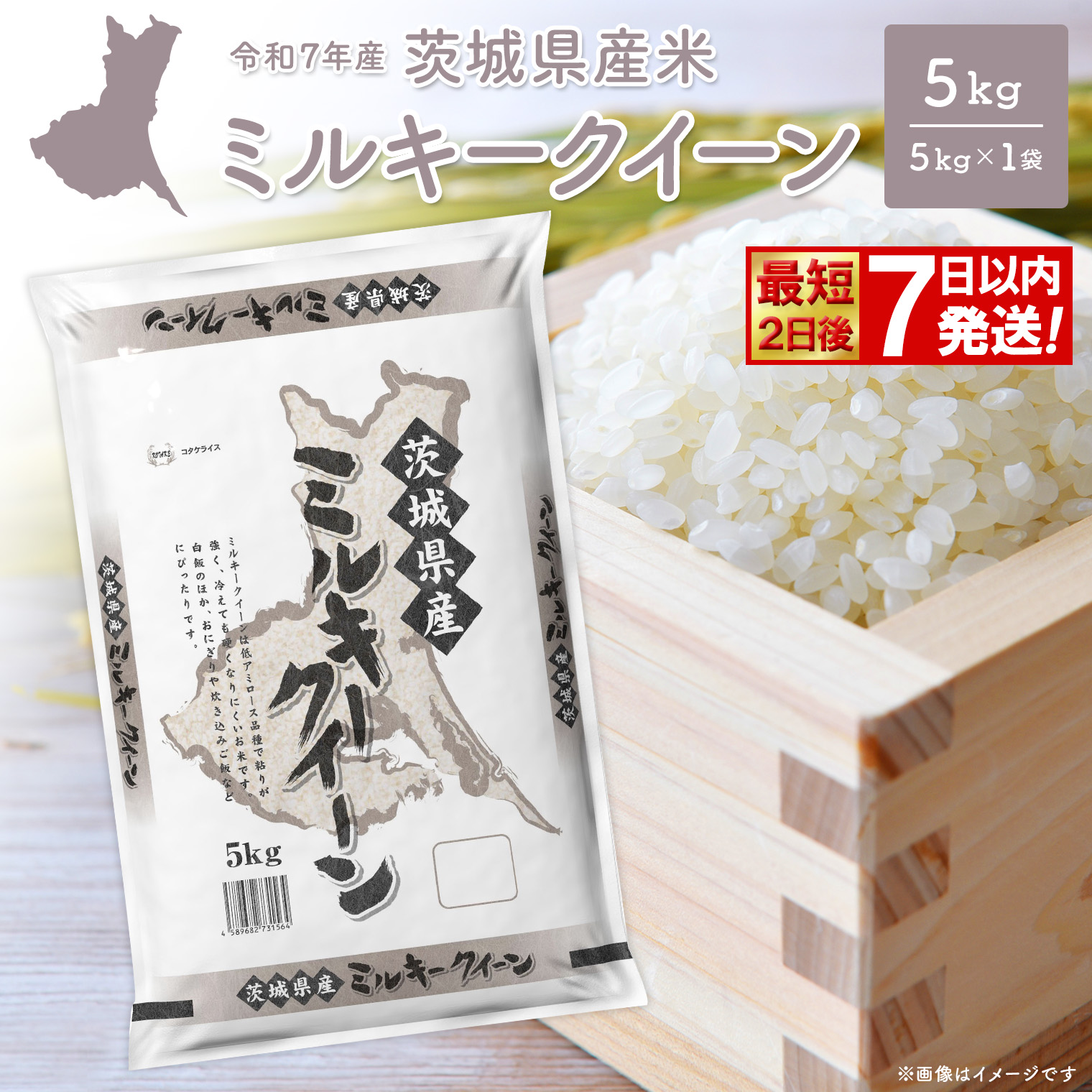 ◎最短2日後発送◎ ミルキークイーン 5kg×1袋 茨城県産 少量 人気 米