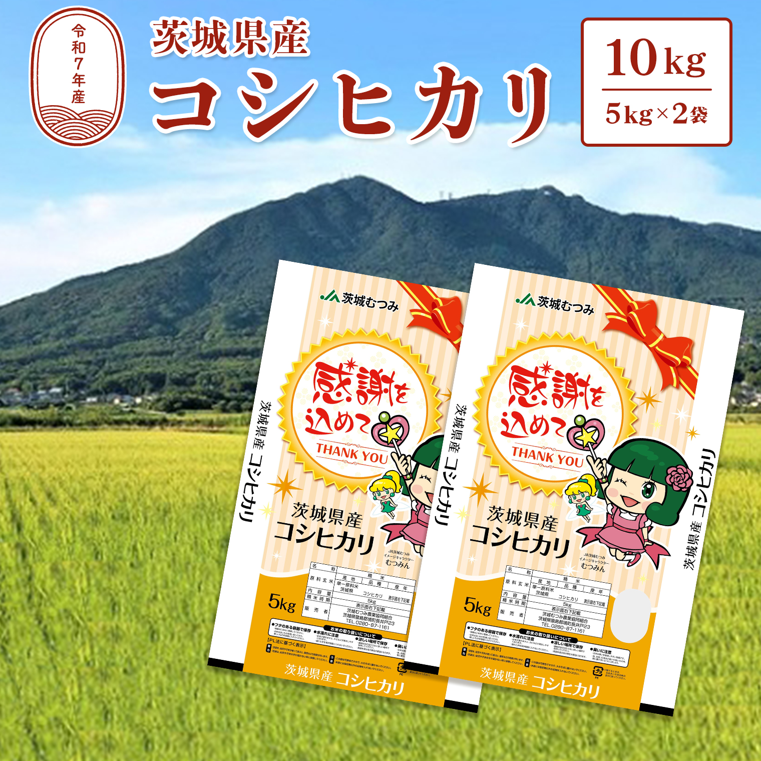 茨城産コシヒカリ 10kg×2袋