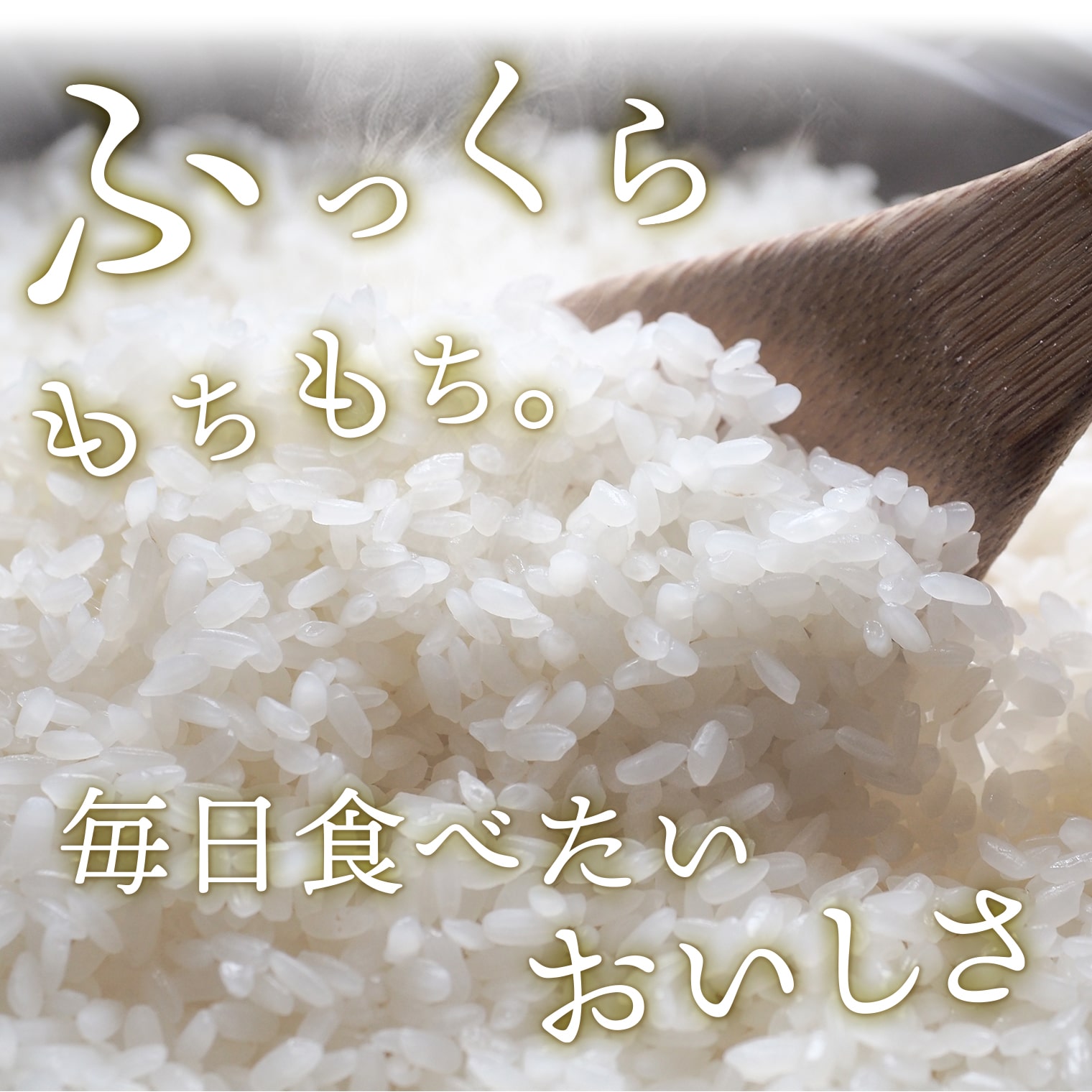 4種食べ比べ 20kg(5kg×4袋) 〈令和8年7月内-8月上旬発送〉 米 小分け