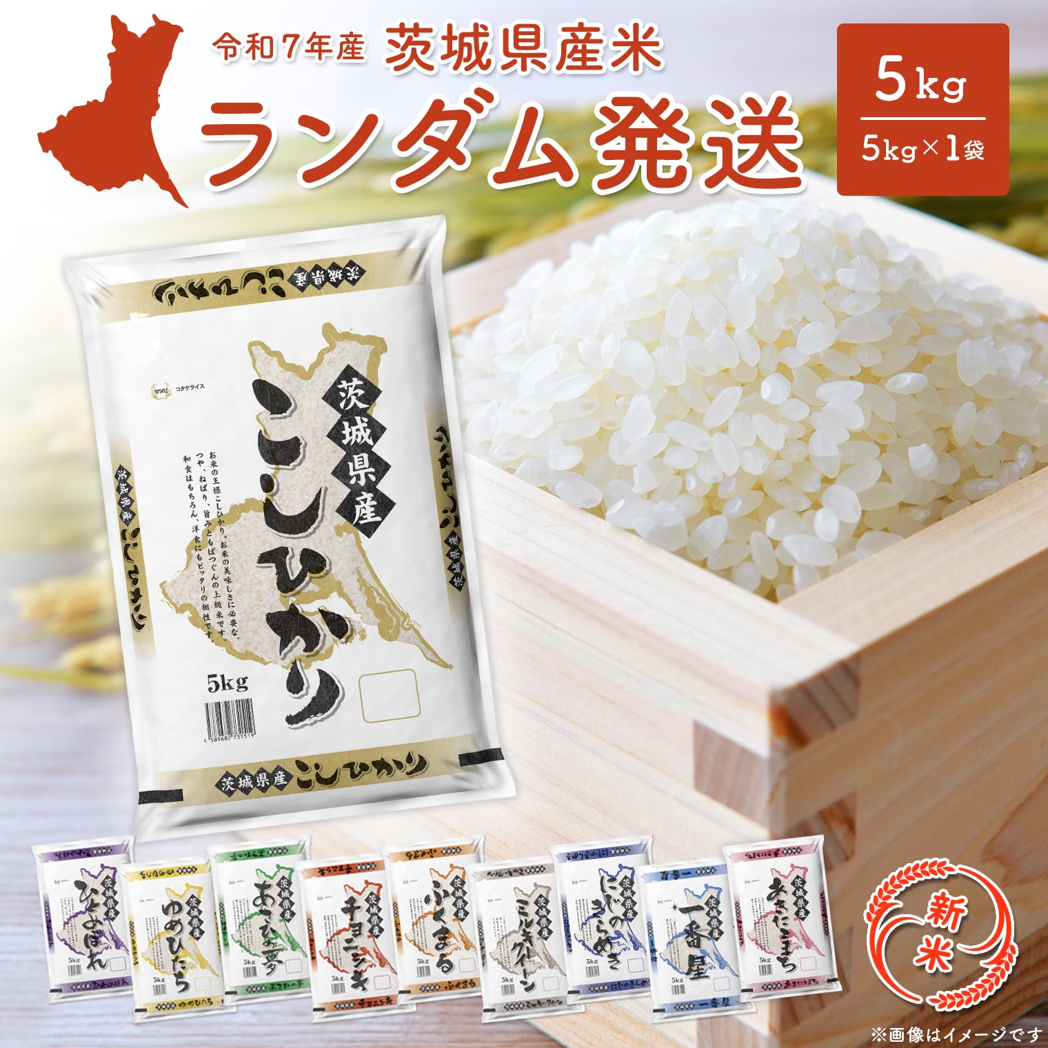 花〜白さま専用　米　あきたこまち　10kg 精米 楽天市場】令和6年産 特別栽培米 10kg（5kg×2袋）秋田県大潟村産