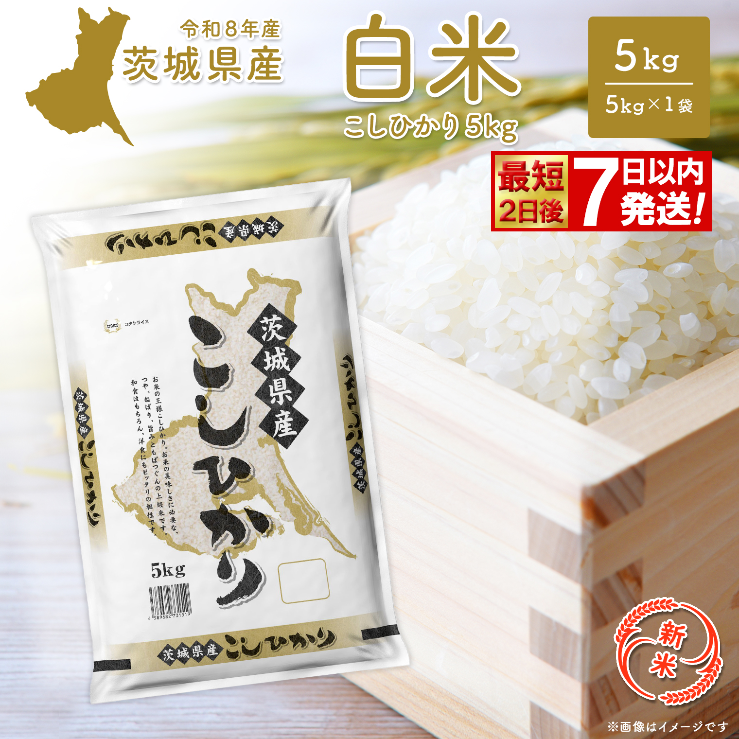 ◎新米/最短2日後発送◎コシヒカリ 5kg 【令和8年産/白米】