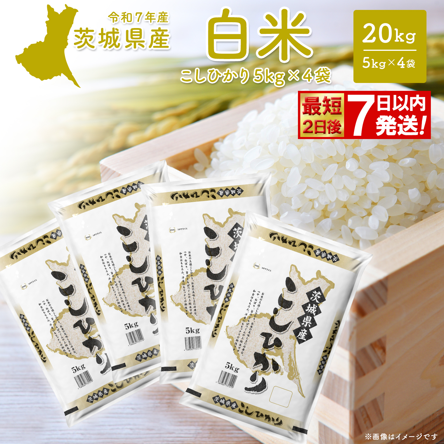 こしひかり 20kg (5kg×4袋) 最短2日後発送【令和7年産/白米】茨城県産 米 小分け 2025年産 スピード便 コシヒカリ K2704
