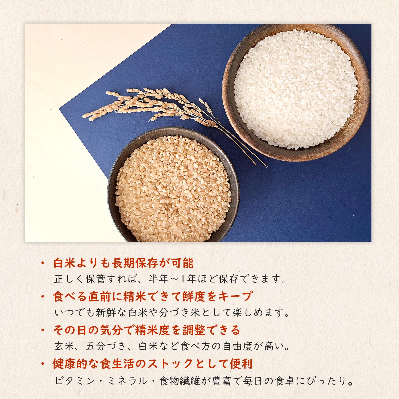 令和7年産】境町こだわり玄米 「コシヒカリ」 30kg - 返礼品から