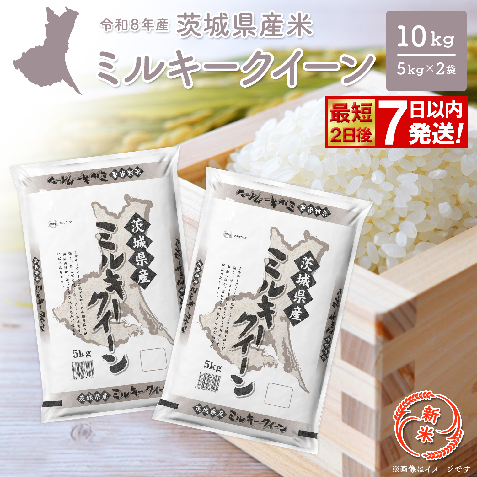 ◎新米/最短2日後発送◎ミルキークイーン10kg【令和8年産/白米】