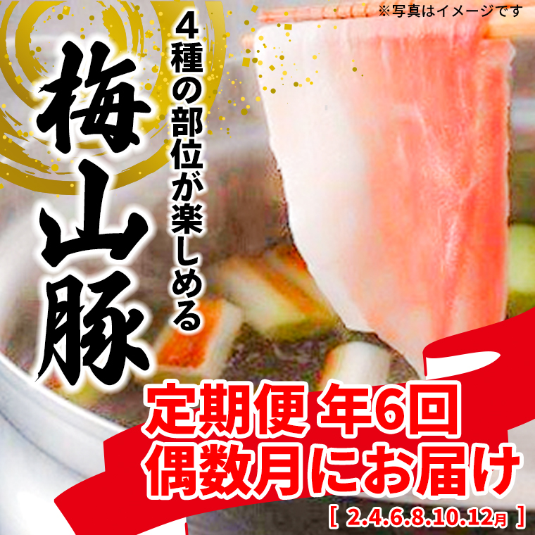 【6回定期便/偶数月発送】 塚原牧場 幻の豚 「梅山豚」 しゃぶしゃぶセット K1875
