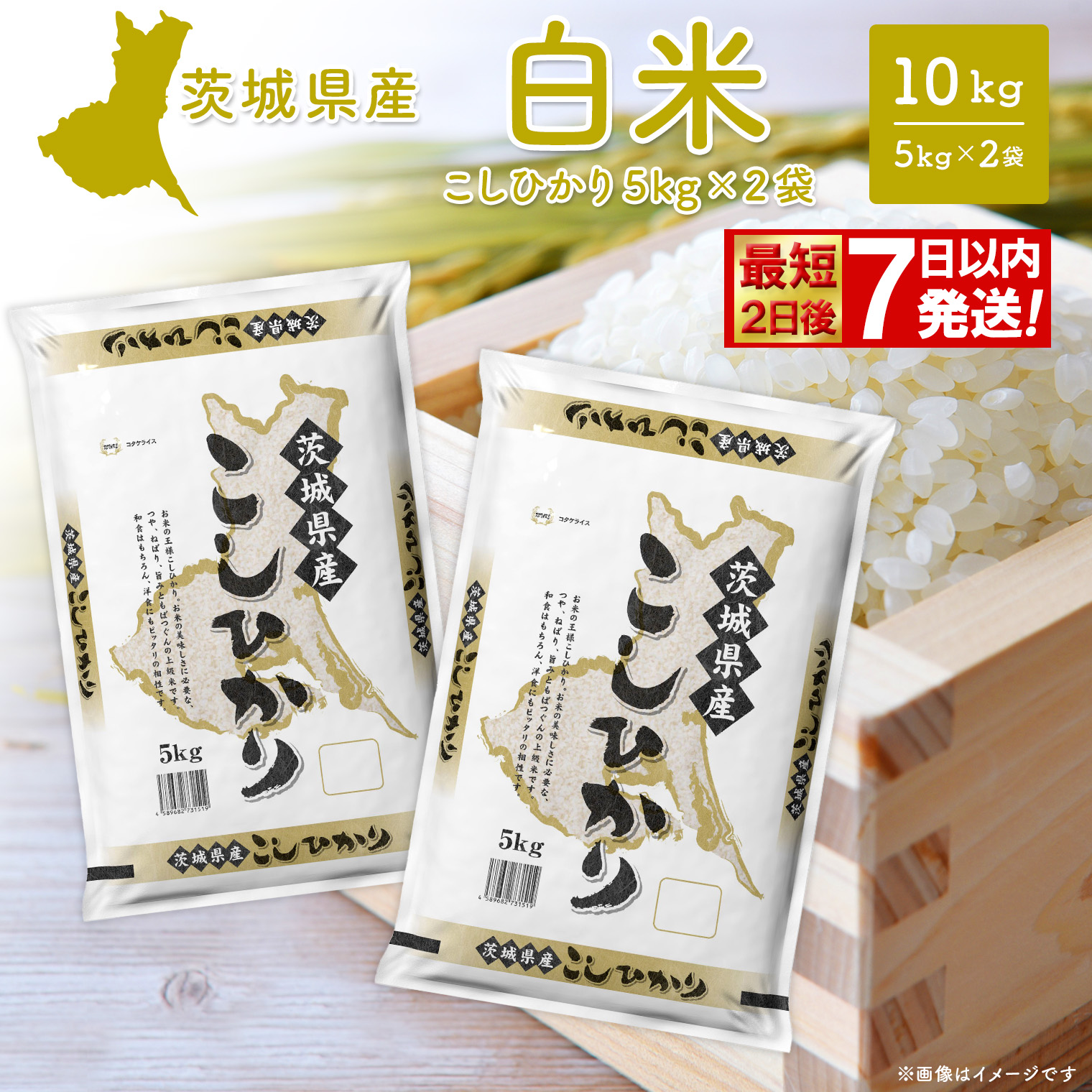 無洗米】コシヒカリ+ランダム 10kg (5kg×2袋)〈令和8年7月内発送
