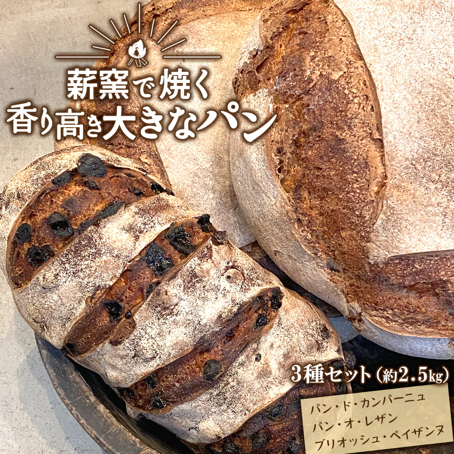 【薪窯焼き】香り高い大きなパン 3種セット (カンパーニュ・レザン・ブリオッシュ) ハード系パン