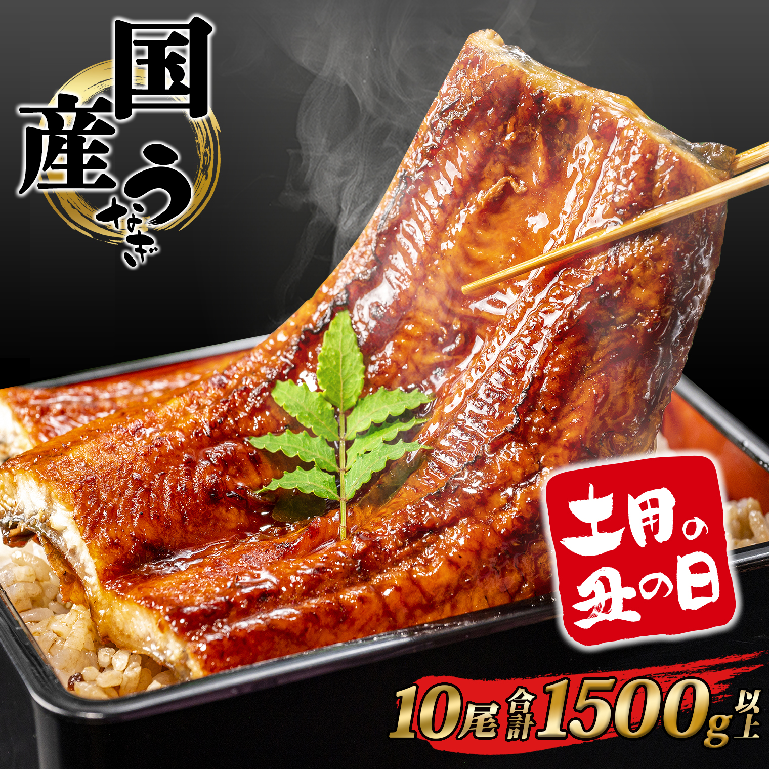 【土用の丑の日までにお届け】うなぎ 蒲焼 10尾 1,500g以上 国産 鰻 人気 うなぎ蒲焼き うな重 簡易袋 魚 魚介 ギフト K2394