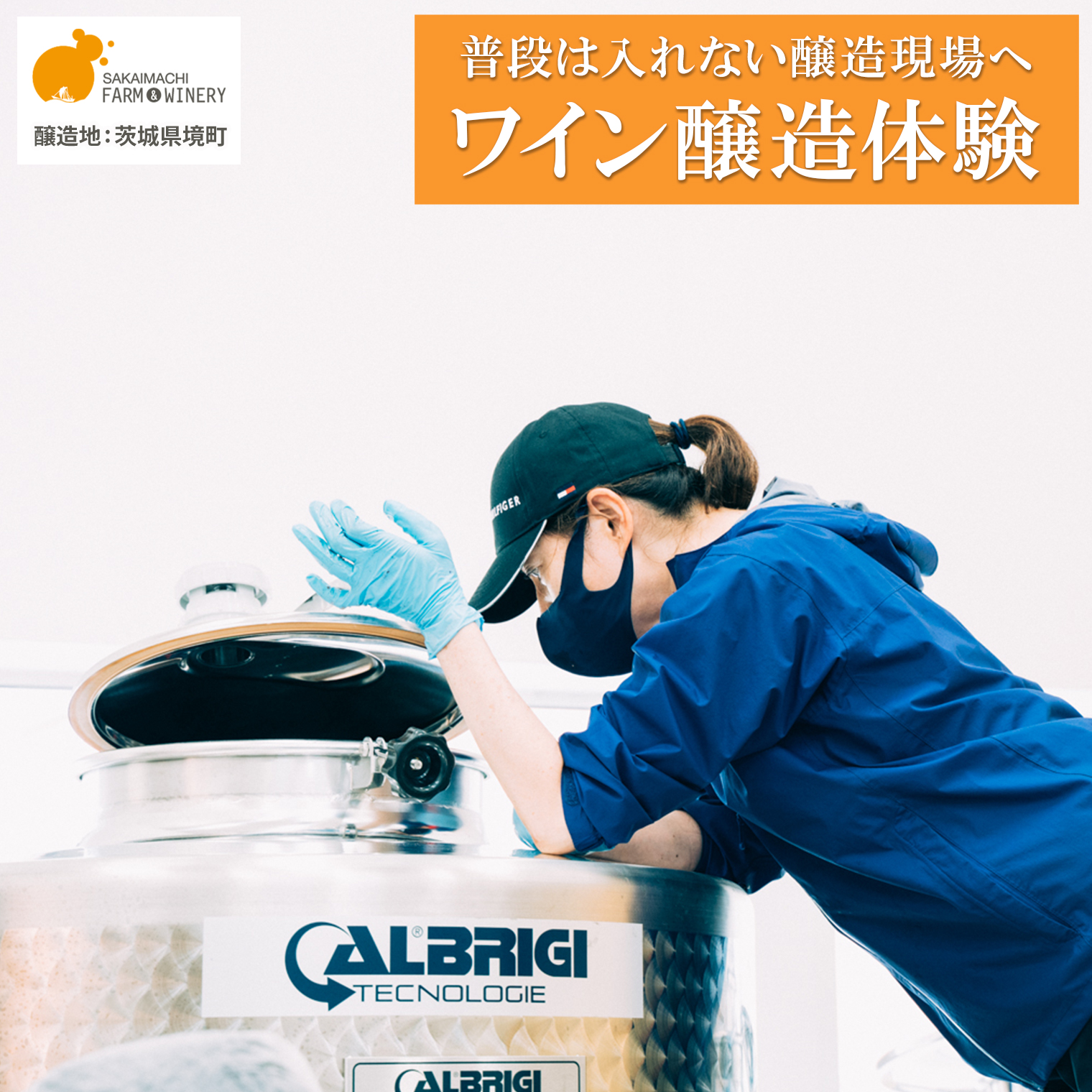 ワイン醸造体験 1名様利用券 ワイン1本付き ワイナリー見学 試飲 赤 白 ギフト プレゼント 酒 お酒 ツアー 飲み比べ 甘口 辛口 さかいまちワイナリー K2711