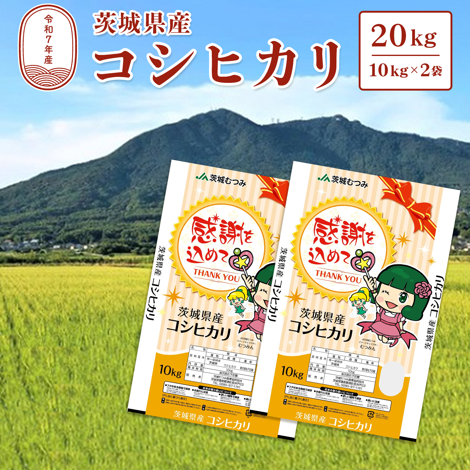 農家直販 茨城県産こしひかり10kg×2袋 送料無料