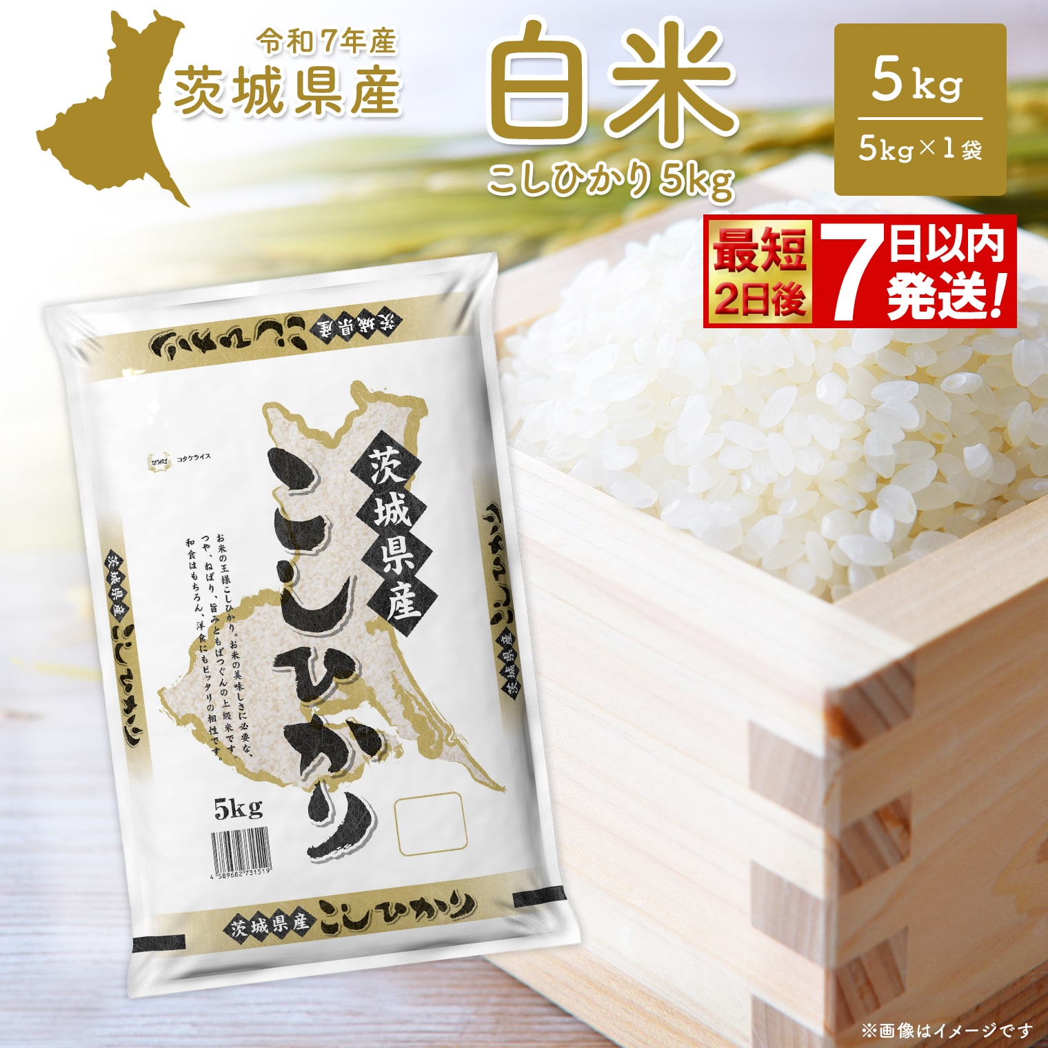 ◎最短2日後発送◎ コシヒカリ 5kg 米 小分け 茨城県産 2025年産 コシヒカリ 【令和7年産/白米】K2670