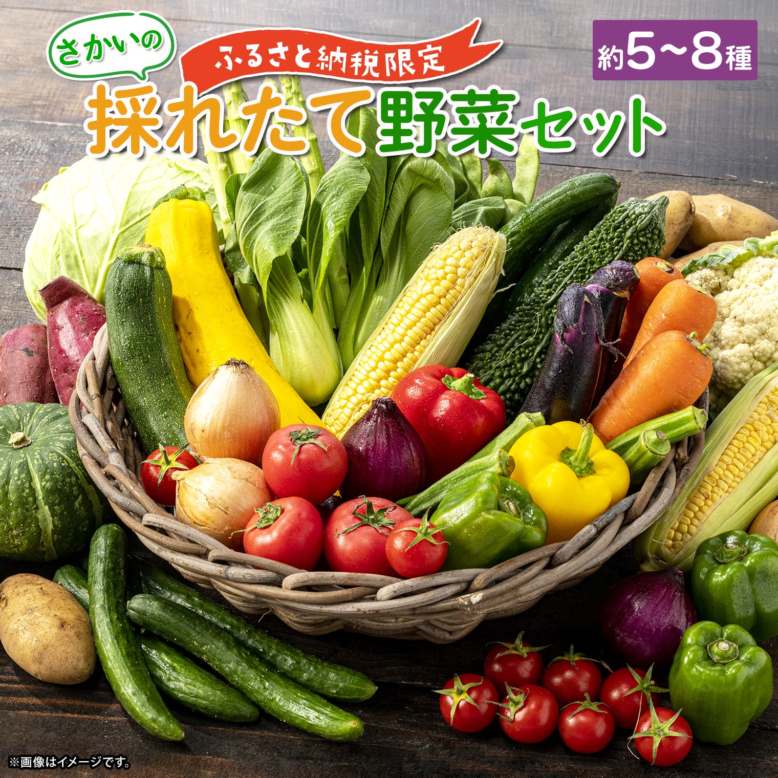 定期便/6ヶ月連続お届け】さかいの採れたて野菜セット - 返礼品から
