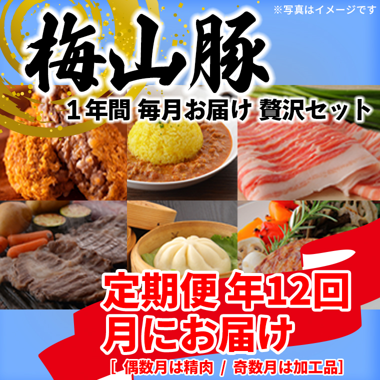 【12回毎月定期便】塚原牧場の幻の豚「梅山豚」の贅沢定期便 K1877