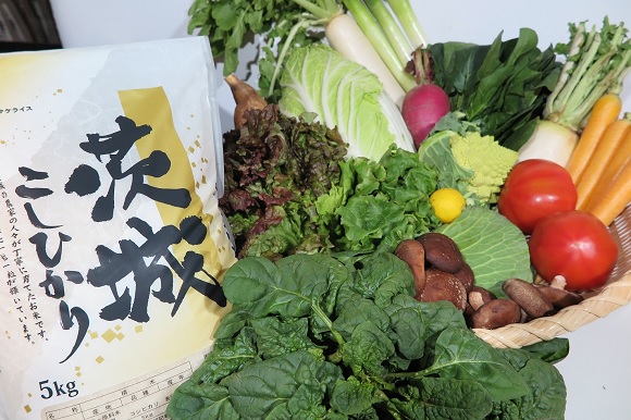 新鮮野菜を盛り沢山＆茨城県産コシヒカリ5kgセット
