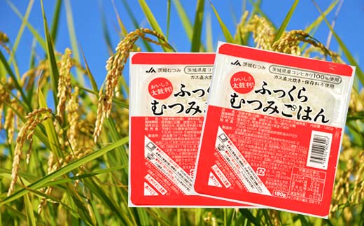 【JA茨城むつみ】ふっくらむつみごはん（茨城県産コシヒカリ使用・180g×24個）