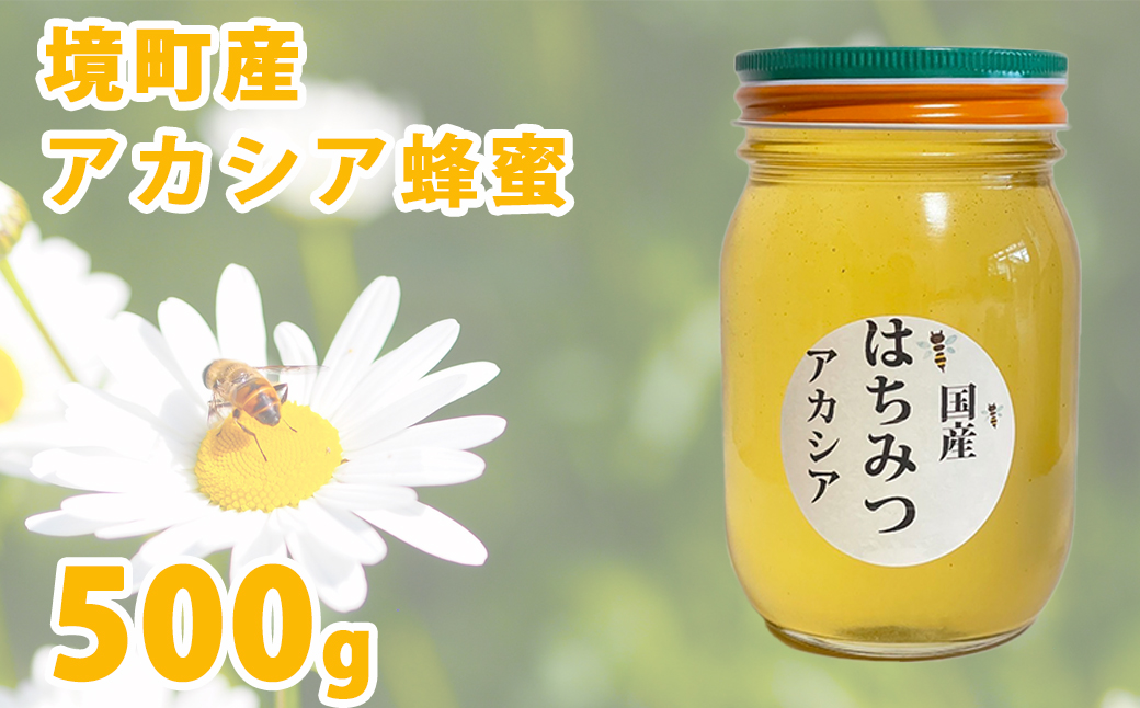 国産アカシア蜂蜜500g × 1本