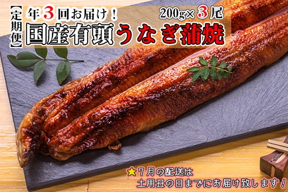 【定期便】年3回お届け！国産有頭うなぎ蒲焼200g×３尾