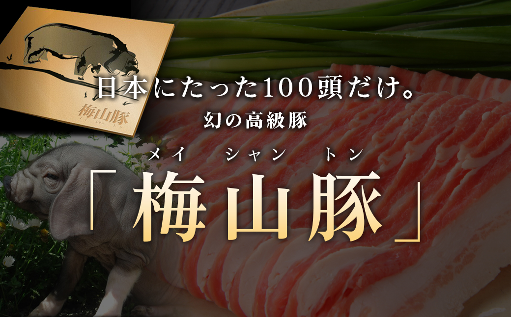 梅山豚のハンバーグ3種セット