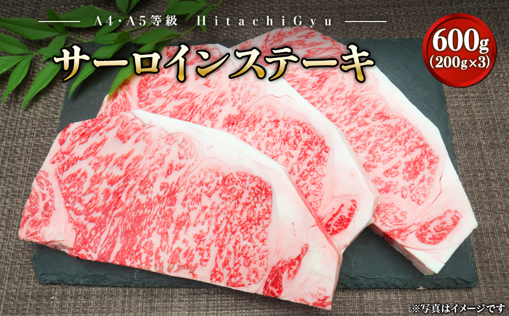 常陸牛プレミアムセット 合計1,050g（サーロイン600g / ヒレ450g）