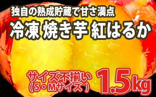 【数量限定】サイズ不揃い さつまいも 熟成 紅はるか 冷凍 焼き芋 1.5kg