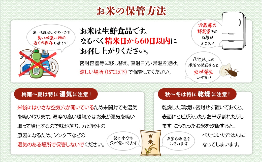 【令和6年産】茨城県産こしひかり10kg(5kg×2袋) 白米 JA茨城むつみ