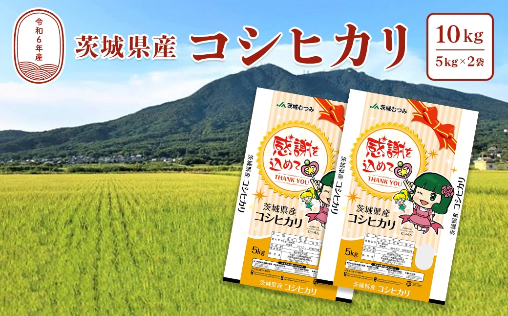 【令和6年産】茨城県産こしひかり10kg(5kg×2袋) 白米 JA茨城むつみ