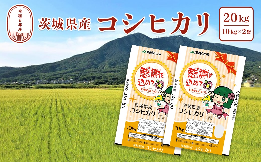 【令和6年産】茨城県産こしひかり20kg(10kg×2袋) 白米 JA茨城むつみ