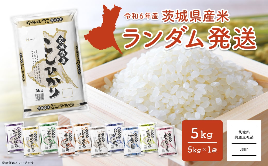 【令和6年産】※ランダム※ ＜2025年04月内発送＞  お米 5kg  茨城県産 白米A