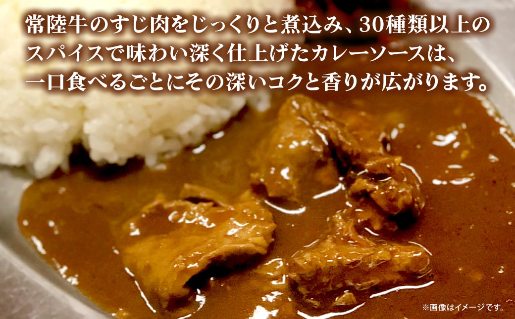 常陸牛すじカレー 1.2kg(200g×6袋) ＜茨城県共通返礼品＞【常陸牛 牛 牛すじ カレー スパイス レトルト 本格 贅沢 牛肉 カレーライス】