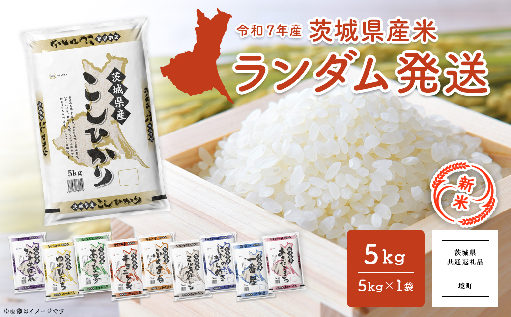 【新米予約開始!!】※ランダム※ ＜令和7年9月内発送＞ 令和7年産 茨城県産 白米 5kg