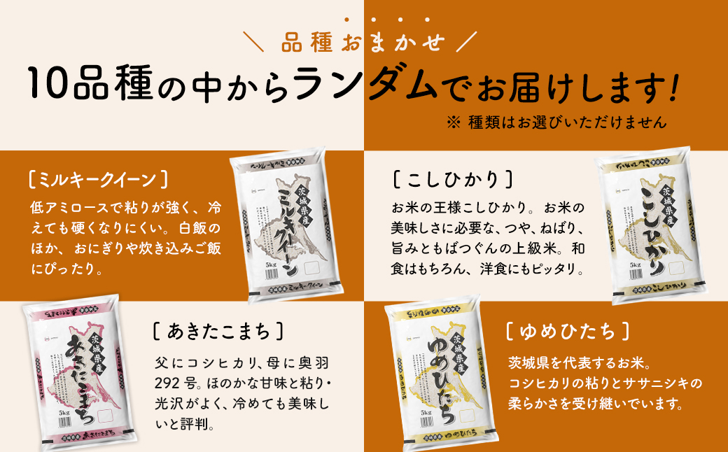 【新米予約開始!!】※ランダム※ ＜令和7年9月内発送＞ 令和7年産 茨城県産 白米 5kg
