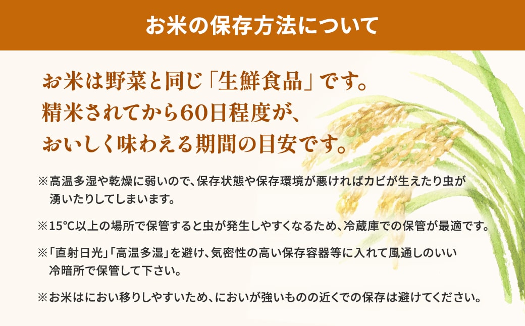 【新米予約開始!!】※ランダム※ ＜令和7年9月内発送＞ 令和7年産 茨城県産 白米 5kg
