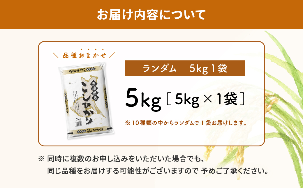 【新米予約開始!!】※ランダム※ ＜令和7年9月内発送＞ 令和7年産 茨城県産 白米 5kg