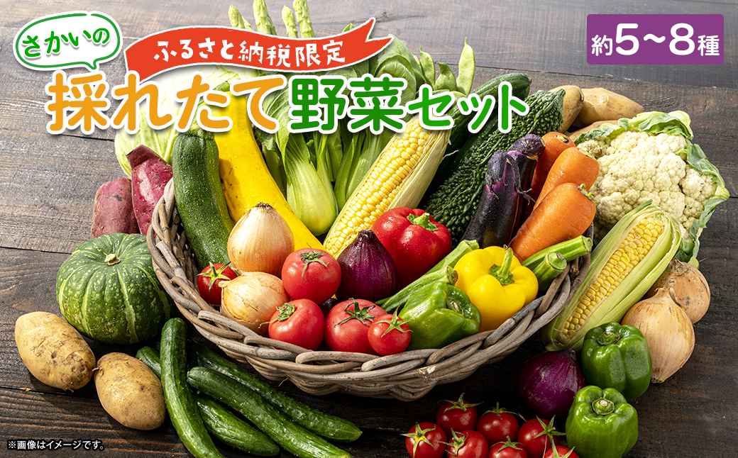 【ふるさと納税限定】さかいの採れたて野菜セット
