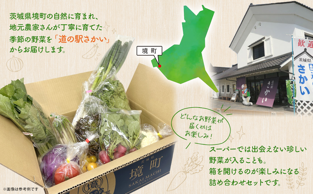 【定期便/3ヶ月連続お届け】さかいの採れたて野菜セット