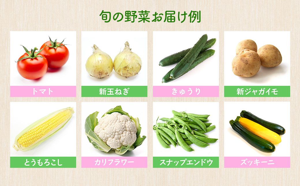 【定期便/3ヶ月連続お届け】さかいの採れたて野菜セット