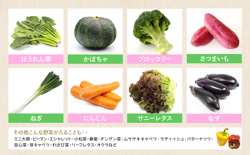 【定期便/3ヶ月連続お届け】さかいの採れたて野菜セット