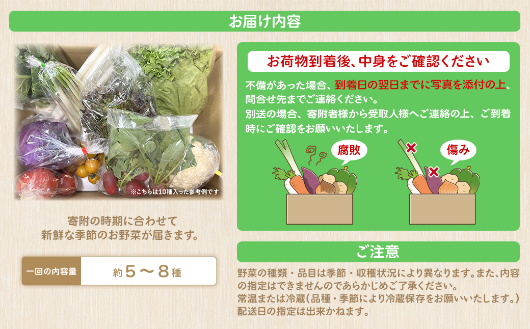 【定期便/3ヶ月連続お届け】さかいの採れたて野菜セット