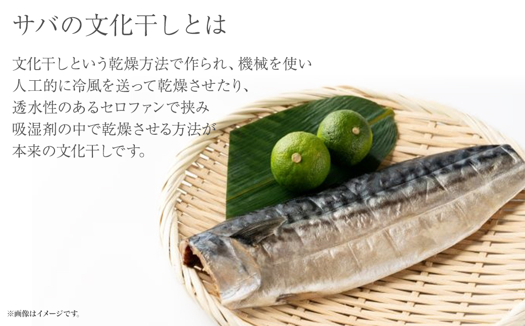 【茨城県共通返礼品/神栖市】大トロ さば 文化干し 1枚真空×6パック 魚 さば サバ 鯖  真空パック 化粧箱 冷凍 一夜干し
