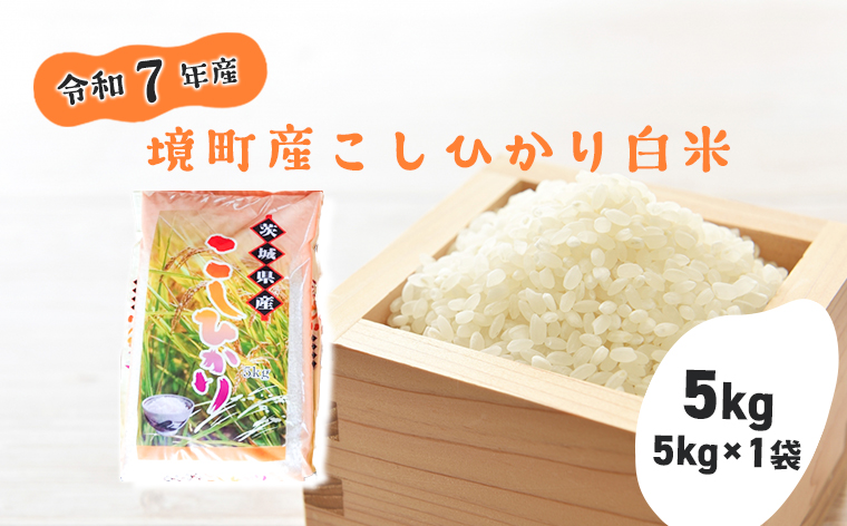 【令和7年産】境町こだわり白米「コシヒカリ」 5kg(5kg×1袋)